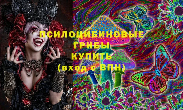 ECSTASY Володарск